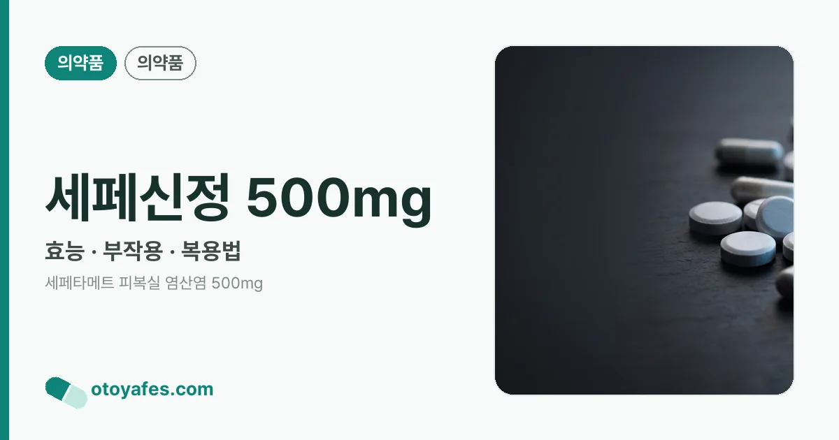 세페신정 500mg 정리 썸네일