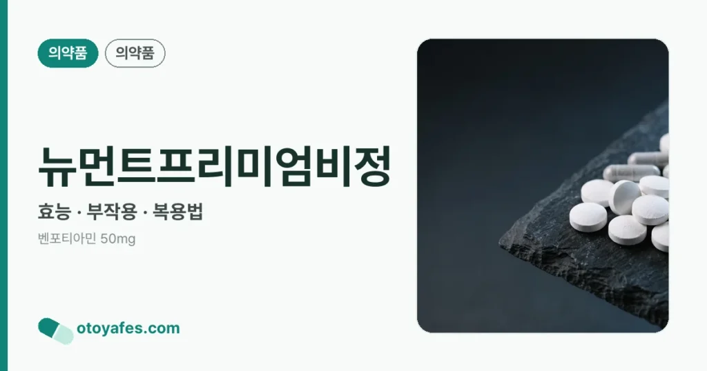 뉴먼트프리미엄비정 정리 썸네일