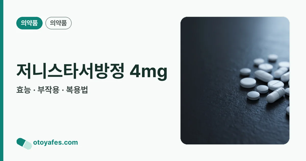 저니스타서방정 4mg 정리 썸네일