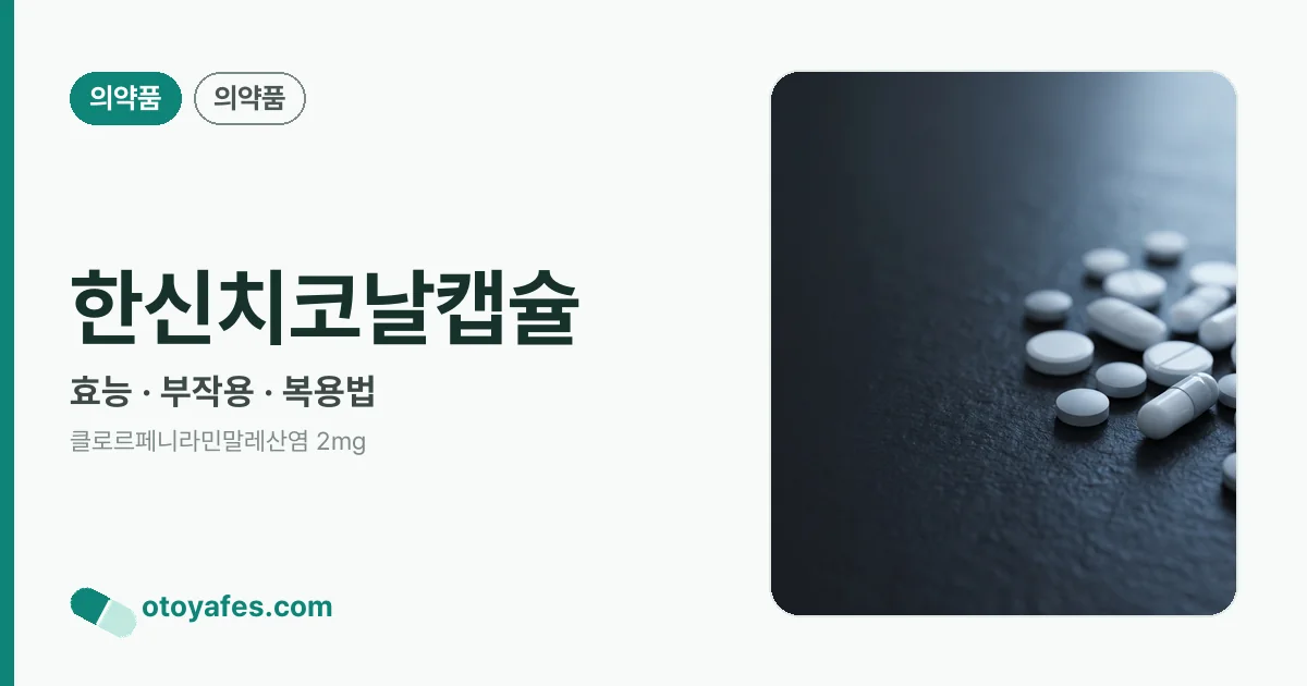 한신치코날캡슐 정리 썸네일
