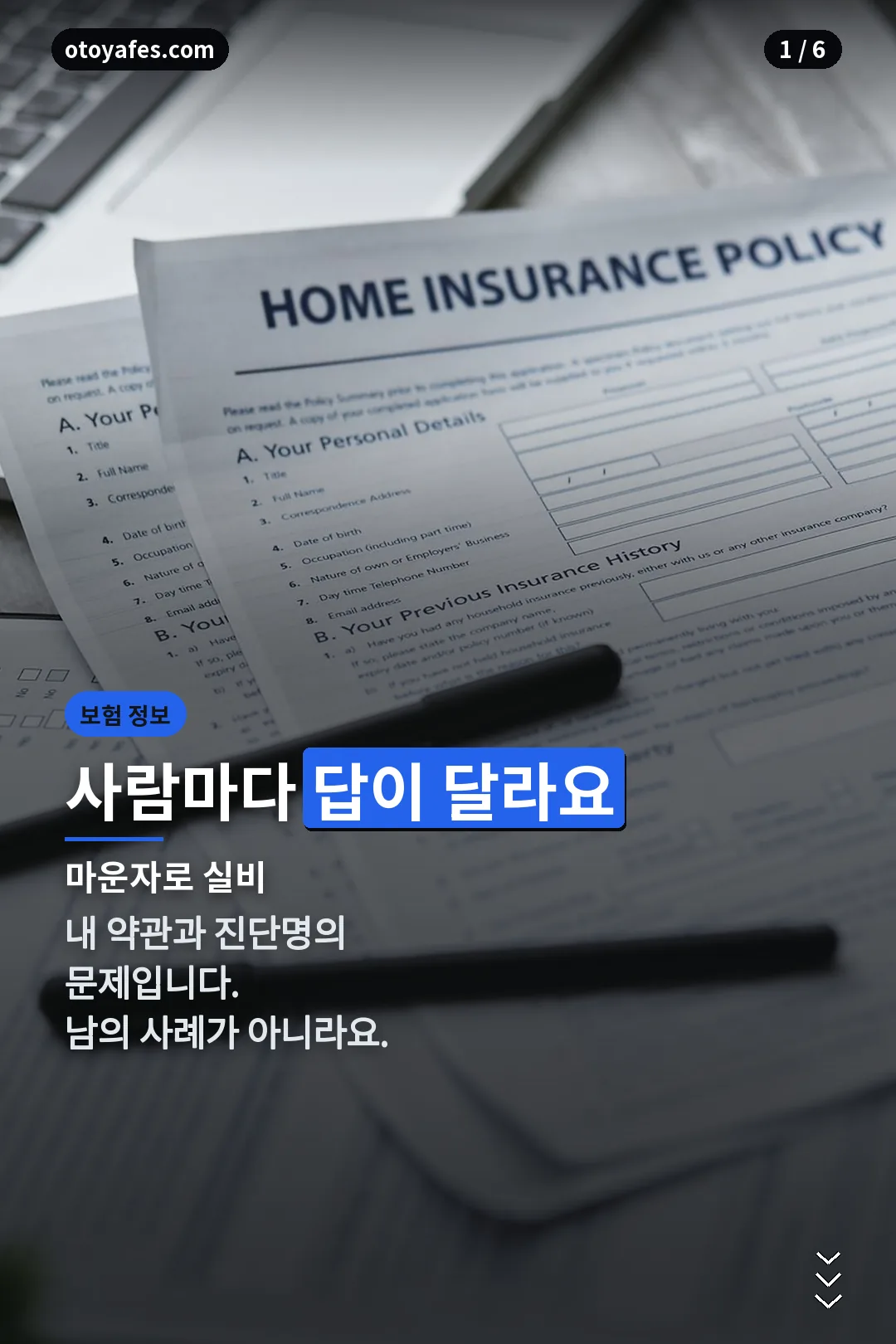 마운자로 실비 표지