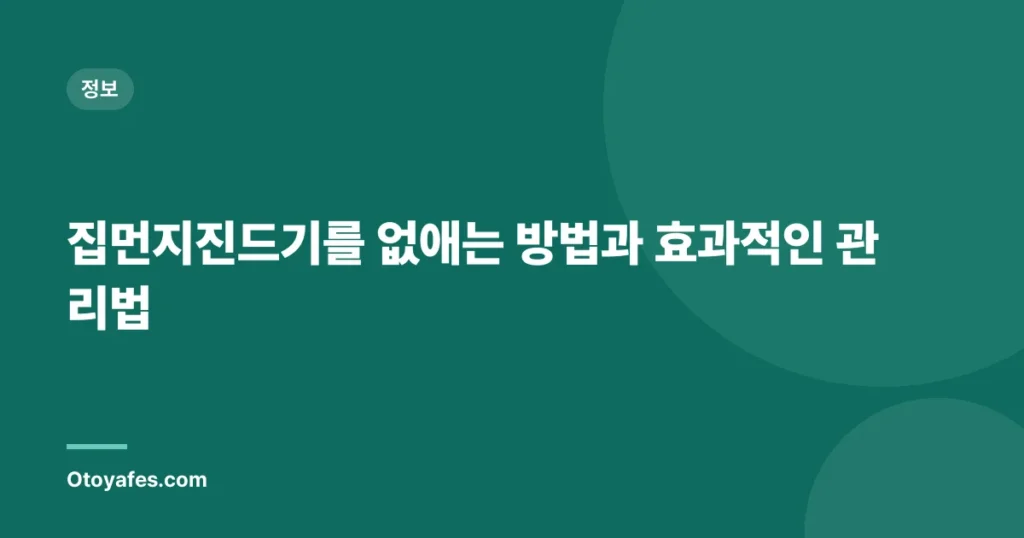 집먼지진드기를 없애는 방법과 효과적인 관리법