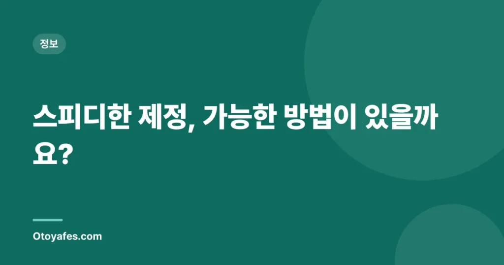 스피디한 제정, 가능한 방법이 있을까요?