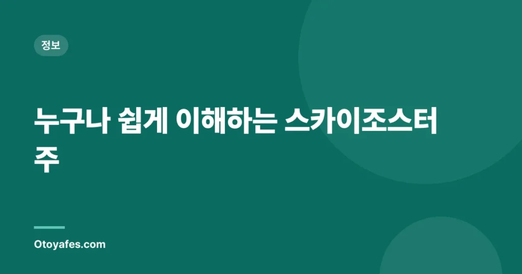 누구나 쉽게 이해하는 스카이조스터주