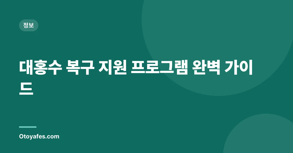 대홍수 복구 지원 프로그램 완벽 가이드