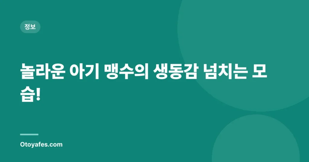 놀라운 아기 맹수의 생동감 넘치는 모습!