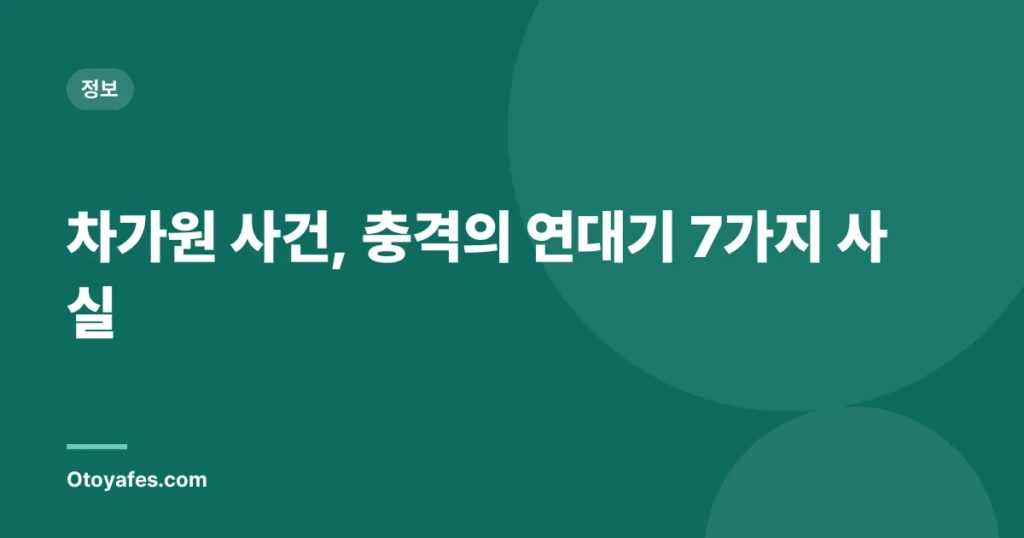차가원 사건, 충격의 연대기 7가지 사실