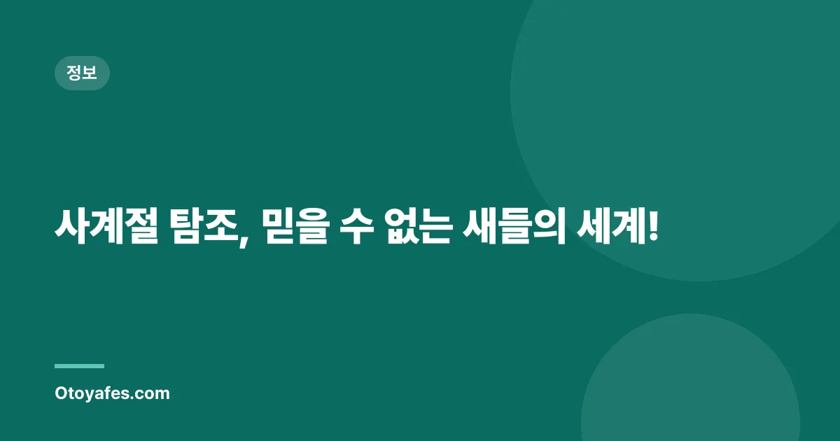 사계절 탐조, 믿을 수 없는 새들의 세계!