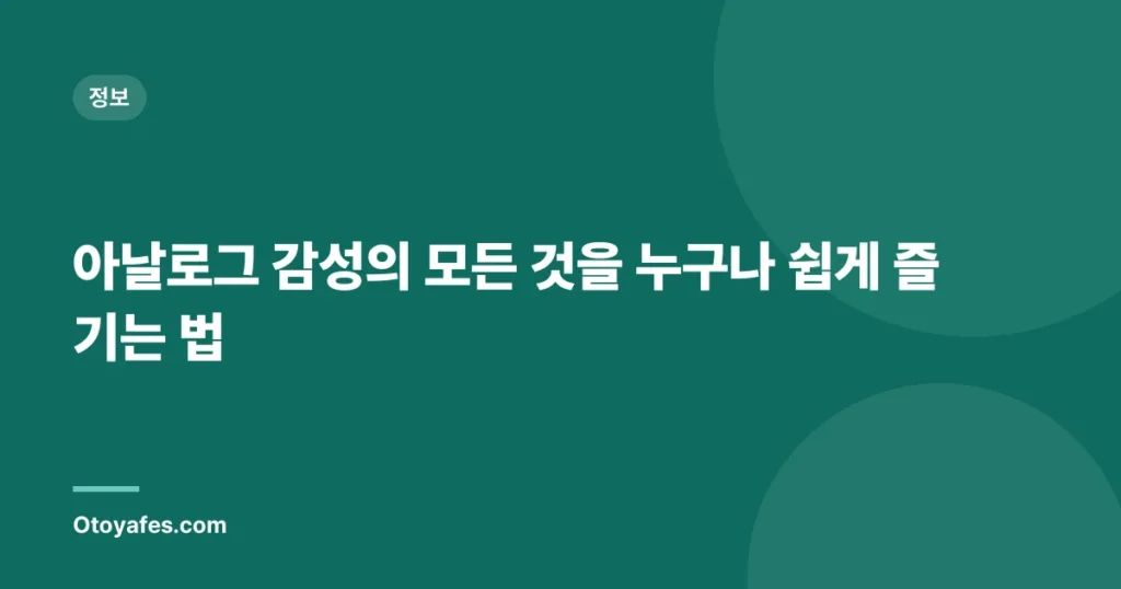 아날로그 감성의 모든 것을 누구나 쉽게 즐기는 법