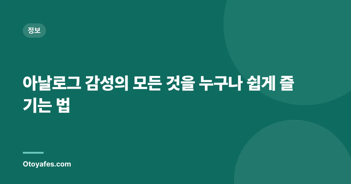 아날로그 감성의 모든 것을 누구나 쉽게 즐기는 법