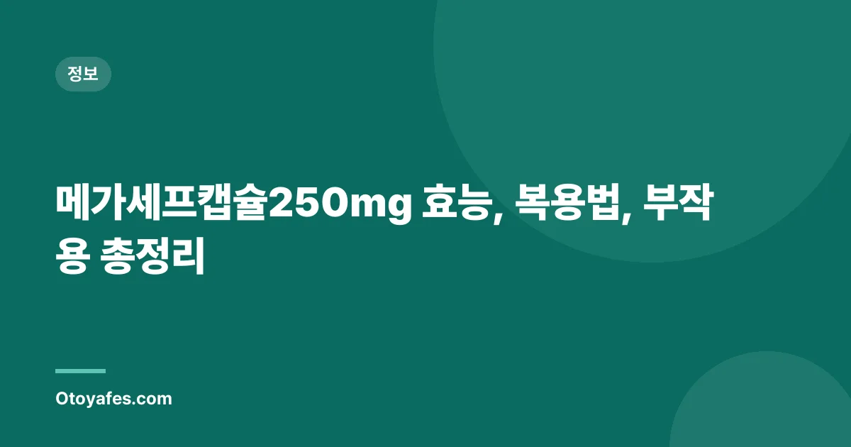 메가세프캡슐250mg 효능, 복용법, 부작용 총정리