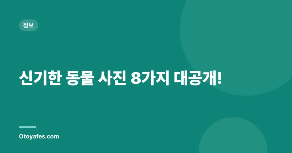 신기한 동물 사진 8가지 대공개!