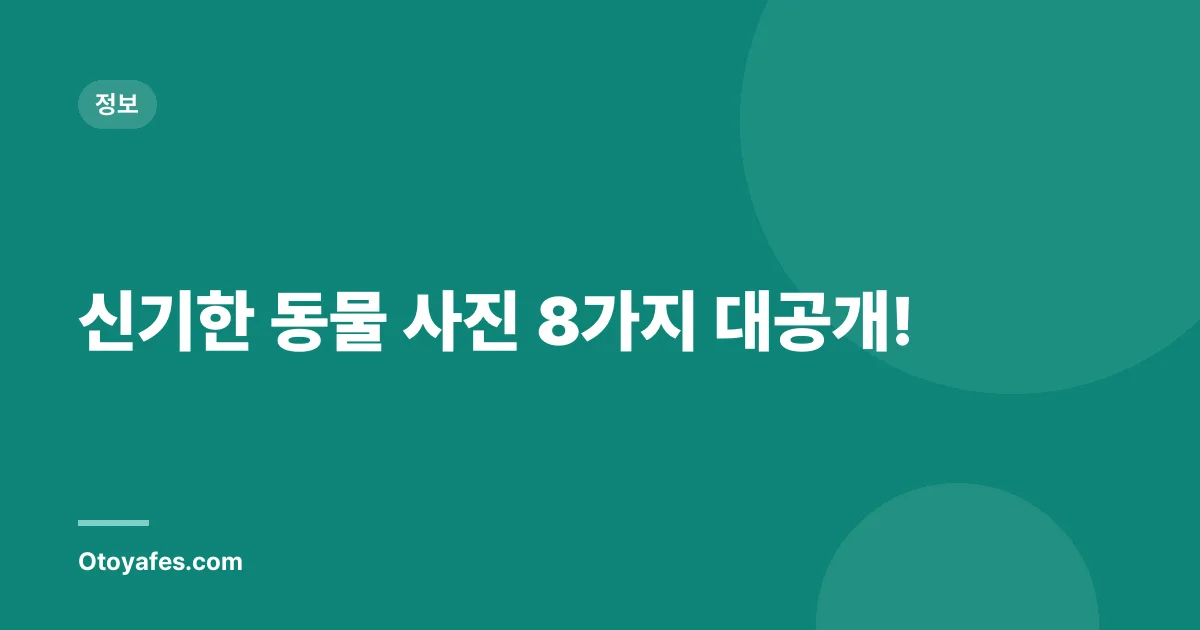 신기한 동물 사진 8가지 대공개!