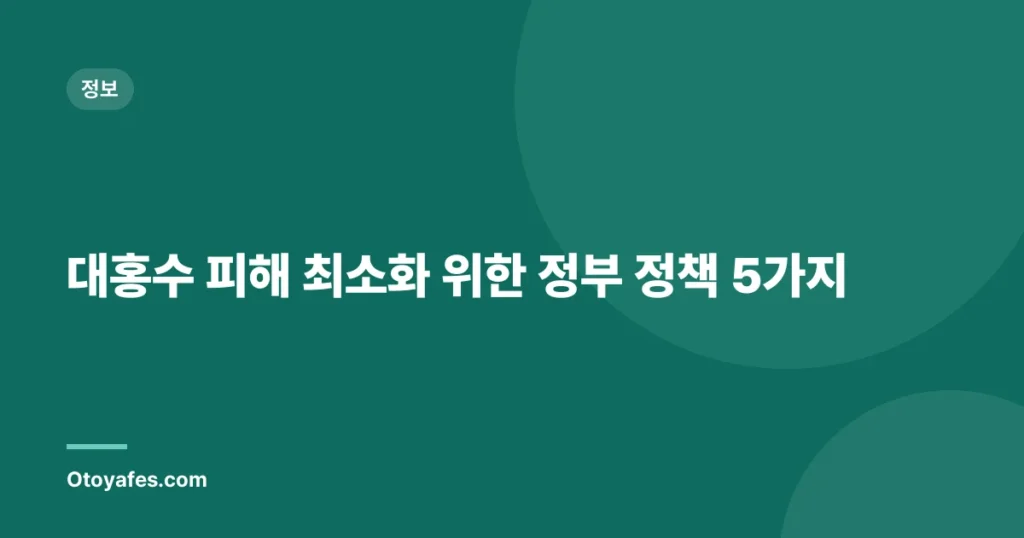 대홍수 피해 최소화 위한 정부 정책 5가지