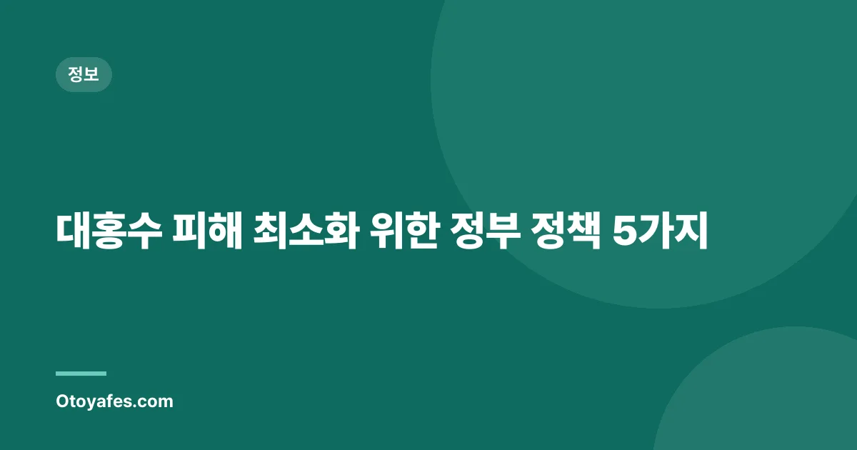 대홍수 피해 최소화 위한 정부 정책 5가지