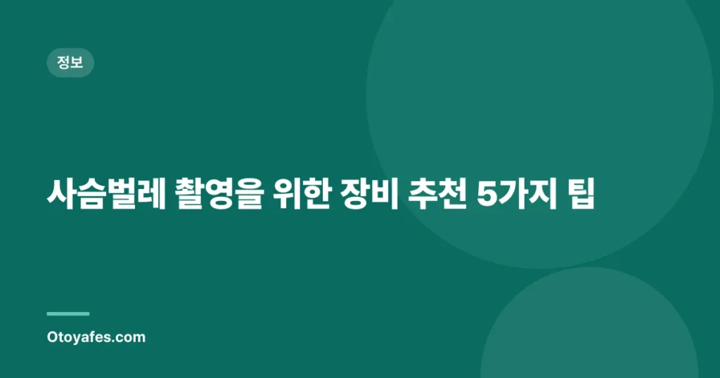 사슴벌레 촬영을 위한 장비 추천 5가지 팁
