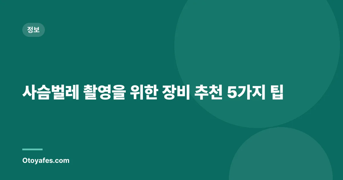 사슴벌레 촬영을 위한 장비 추천 5가지 팁