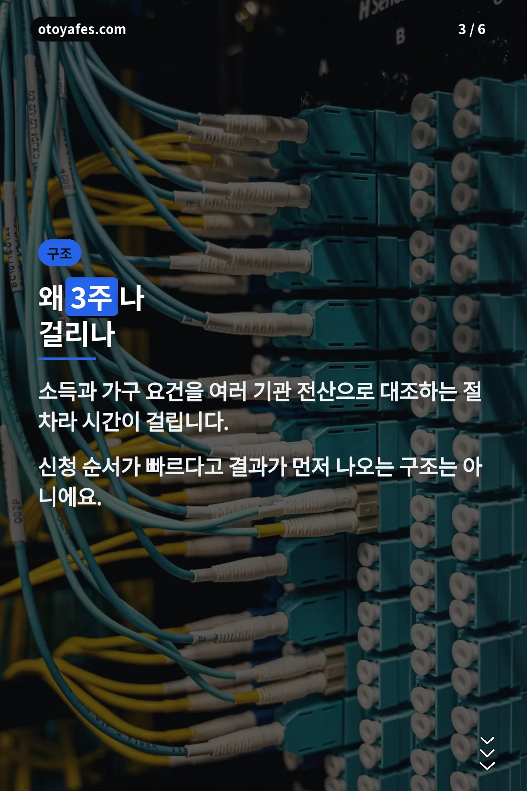 심사 기간 이유