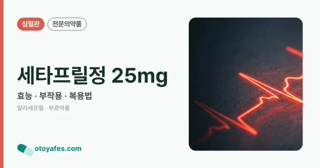 세타프릴정 25mg 정리 썸네일