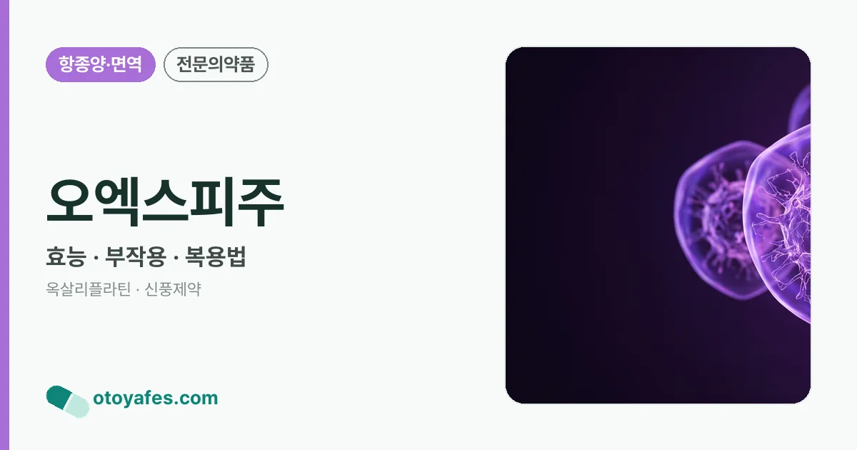 오엑스피주 정리 썸네일