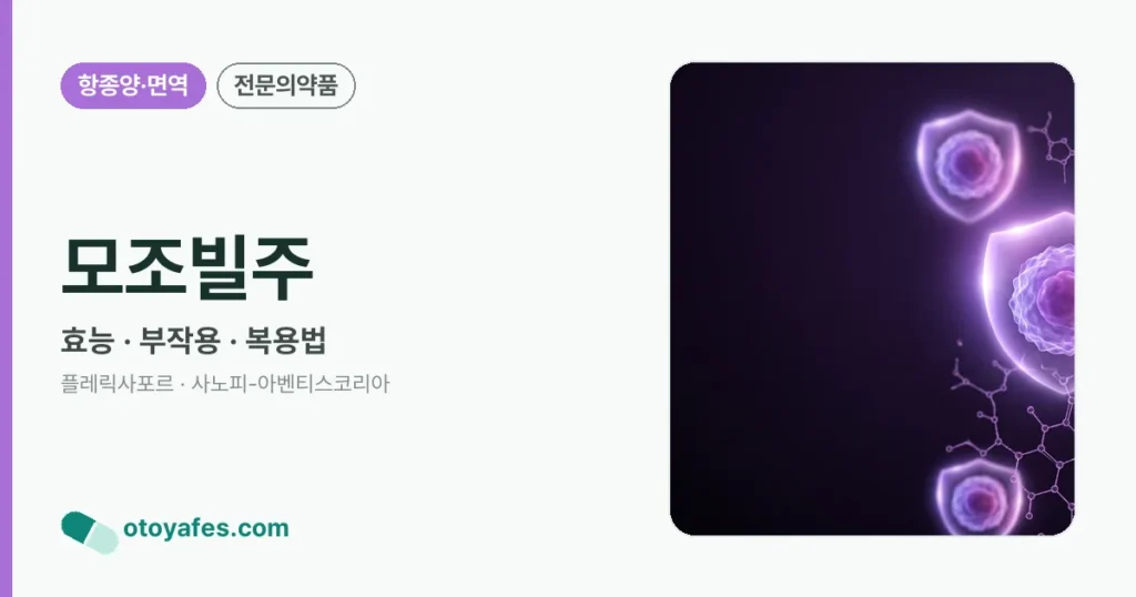 모조빌주 정리 썸네일