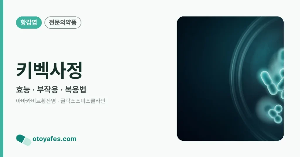 키벡사정 정리 썸네일