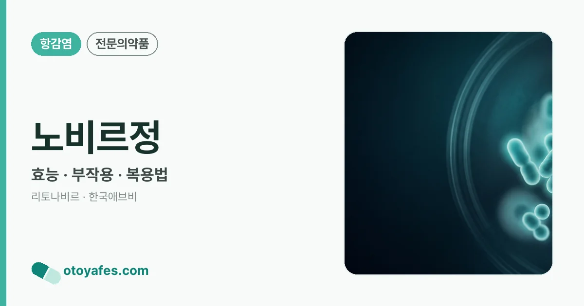 노비르정 정리 썸네일