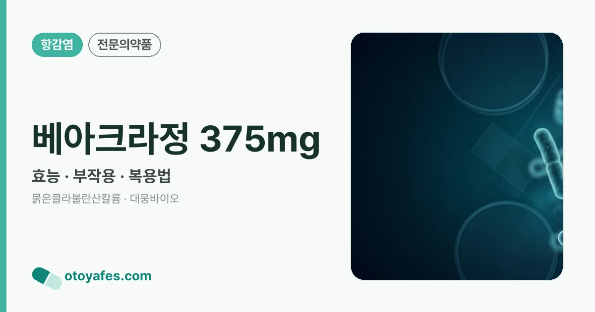 베아크라정 375mg 정리 썸네일