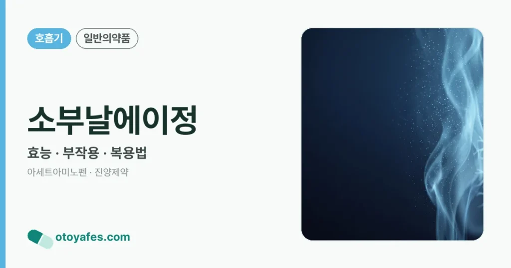 소부날에이정 정리 썸네일