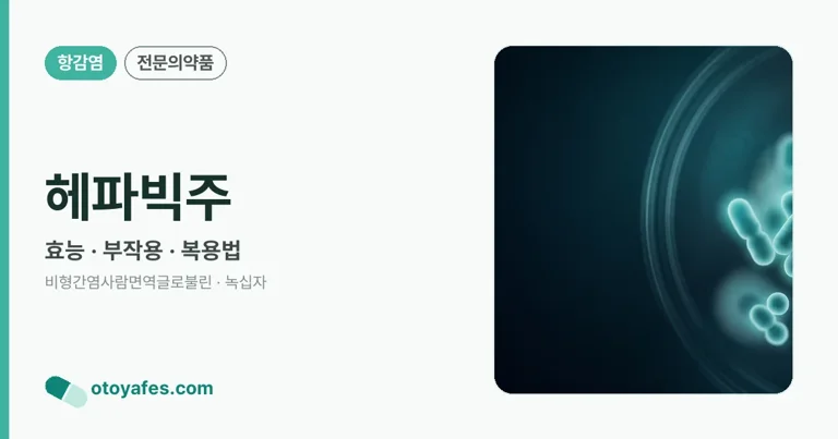 헤파빅주 정리 썸네일