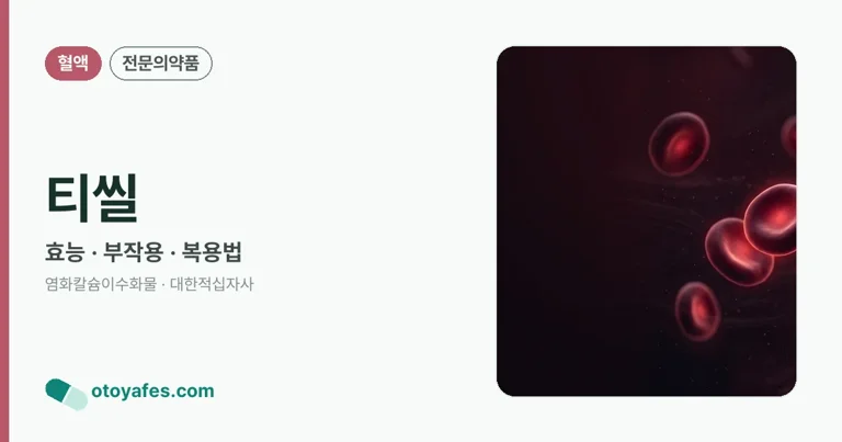 티씰 정리 썸네일