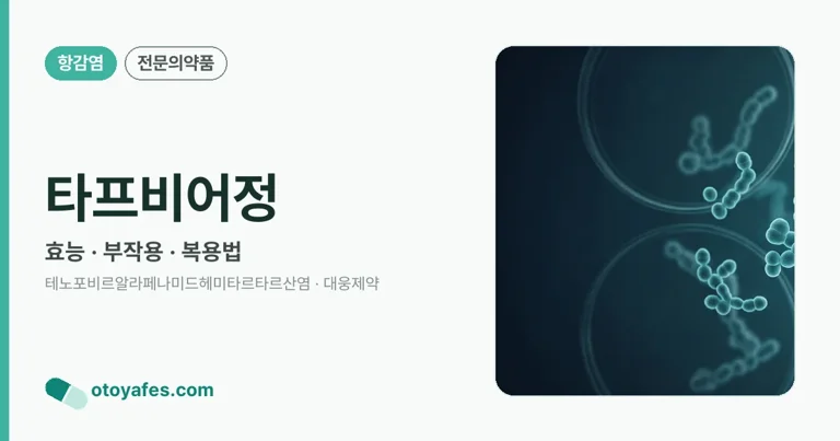 타프비어정 정리 썸네일